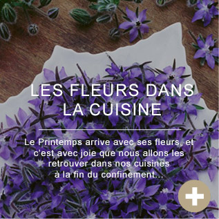 Les fleurs dans la cuisine